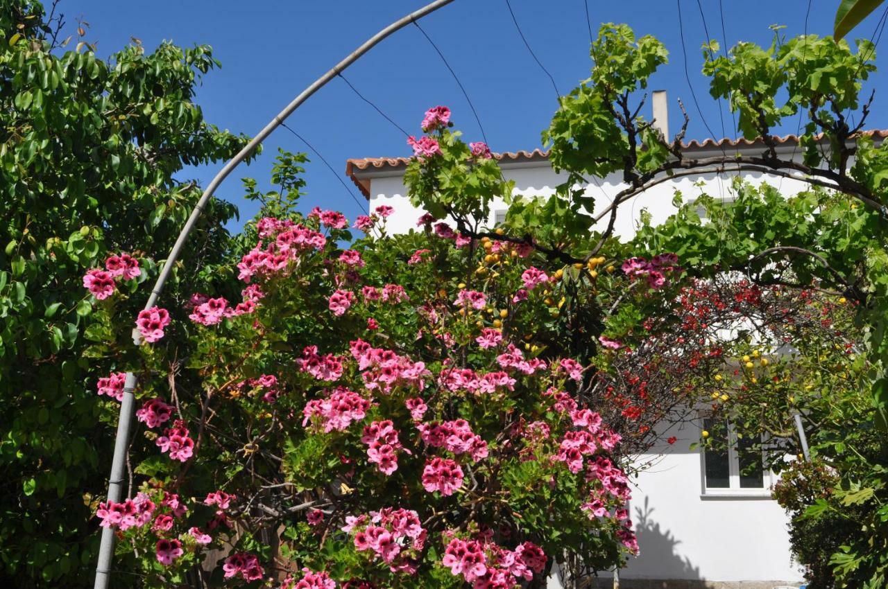 B&B Les Chambres Rooms & Suite Santa Teresa Gallura Eksteriør bilde